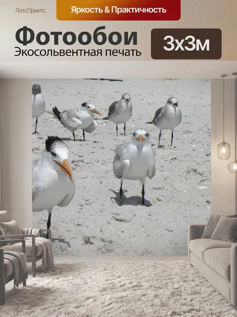 Фотообои Птицы