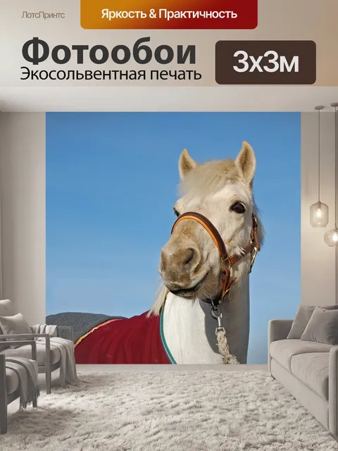 Фотообои Пони