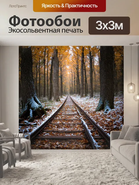 Фотообои в тихом осеннем лесу