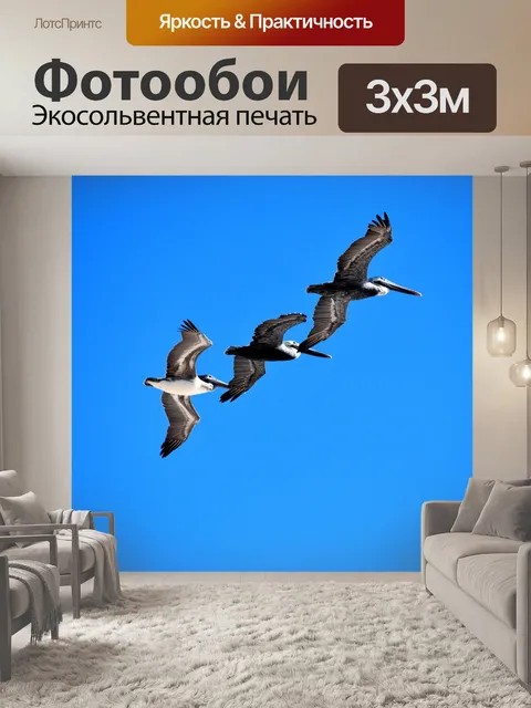 Фотообои Пеликаны летающие