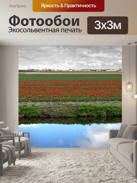Фотообои Тюльпаны