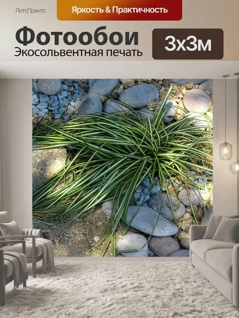 Фотообои Паук-завод в скальном саду