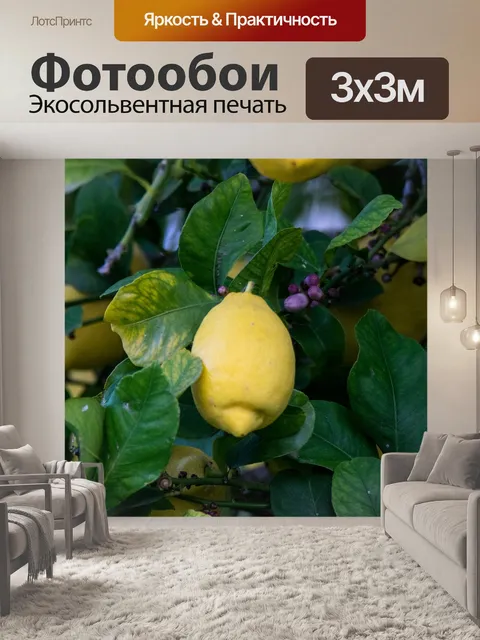 Фотообои Фрукты