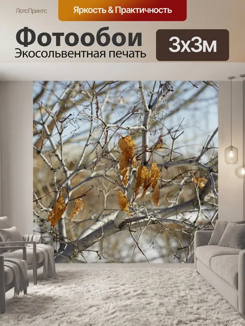 Фотообои Дерево