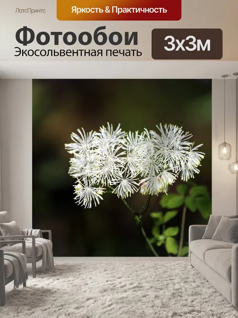 Фотообои Цветы