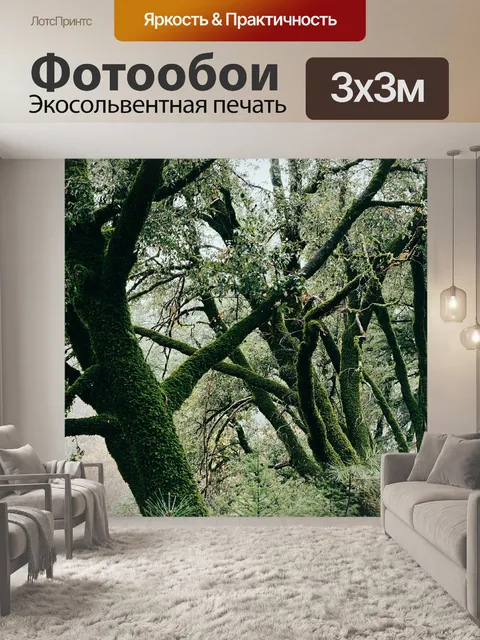 Фотообои Ветви
