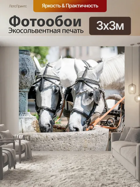 Фотообои Баден