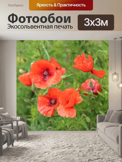 Фотообои Маки