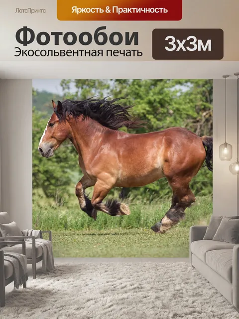 Фотообои Лошадь