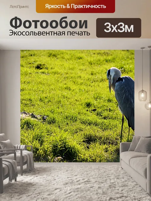 Фотообои Птицы