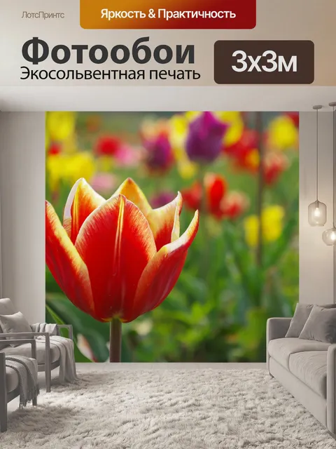 Фотообои Цветы