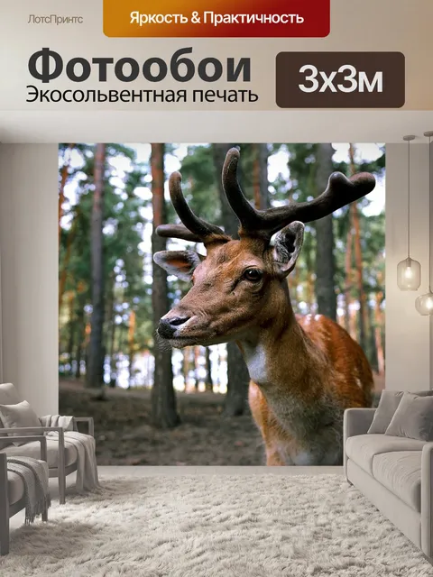 Фотообои Олень