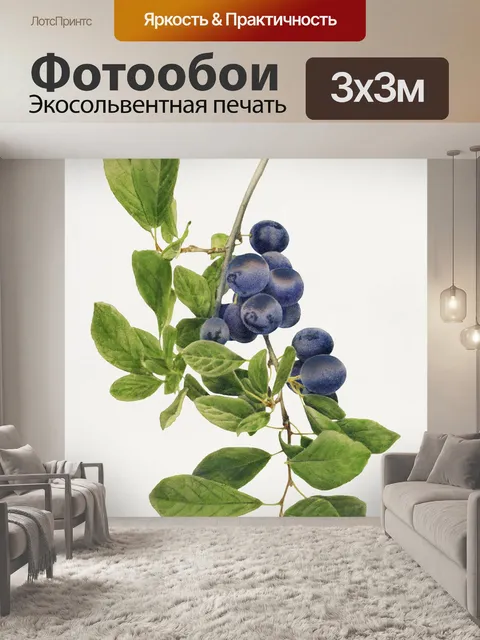 Фотообои Черника фрукты арт винтаж
