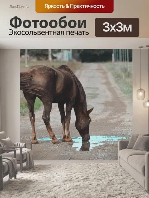 Фотообои Лошадь