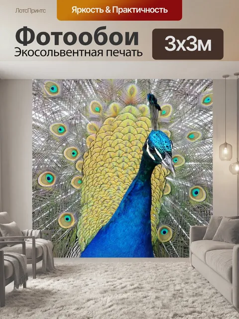 Фотообои Павлин