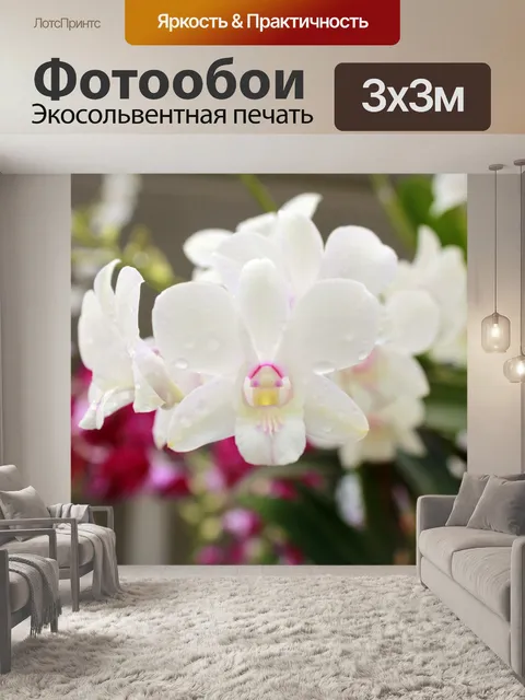 Фотообои Цветок орхидеи цветы