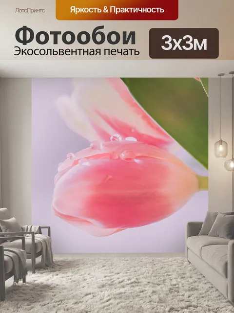 Фотообои Тюльпан