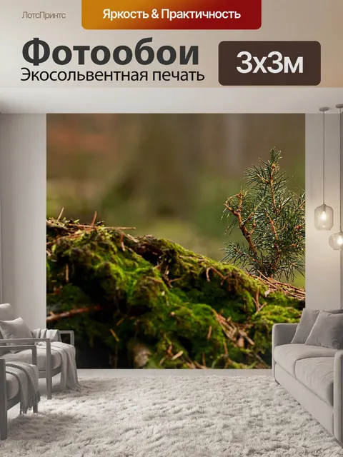 Фотообои Мох