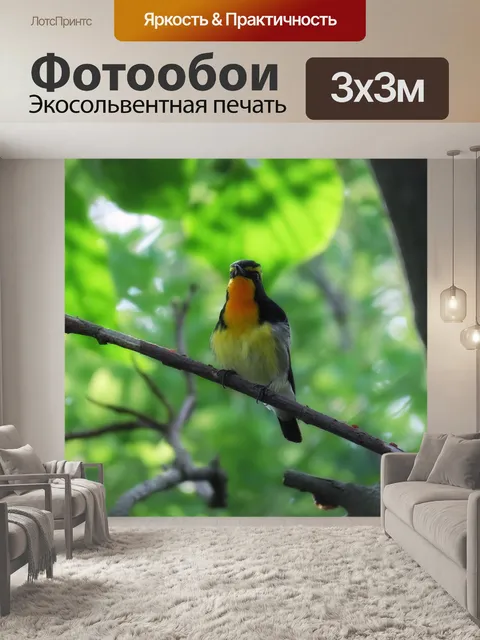 Фотообои Животное