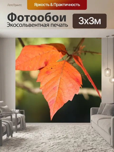 Фотообои Оранжевые осенние листья