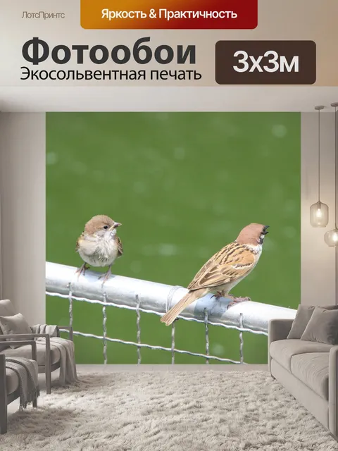 Фотообои Воробьи