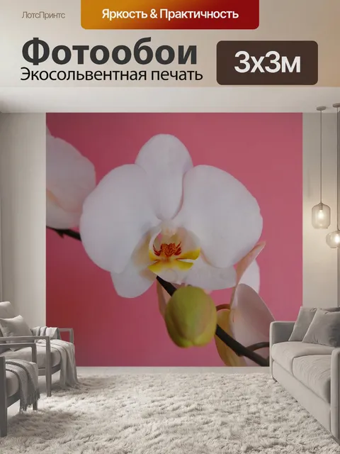 Фотообои Орхидея