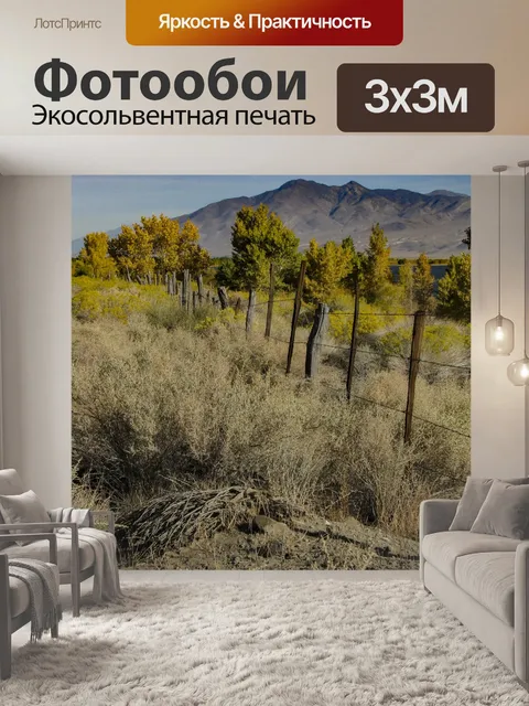 Фотообои Деревья и полевые забор