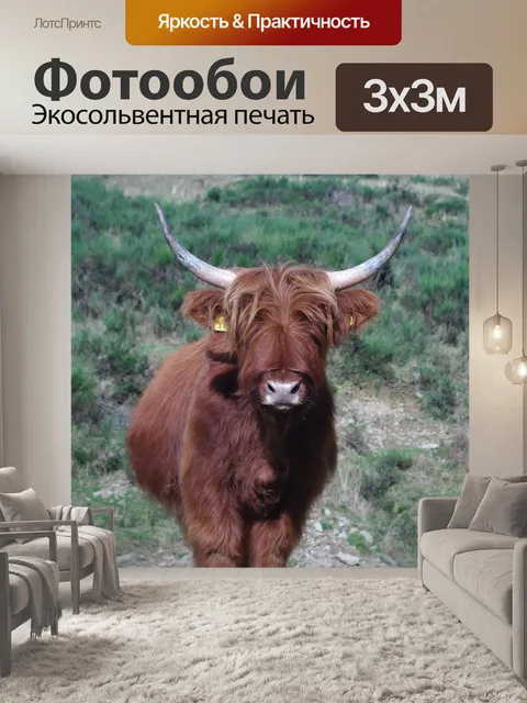 Фотообои Горный скот