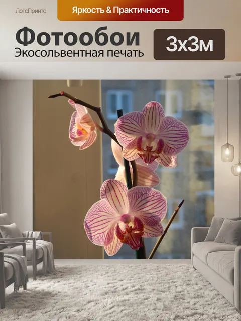 Фотообои Орхидея