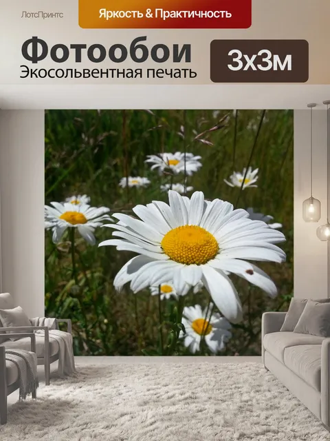 Фотообои маргаритка