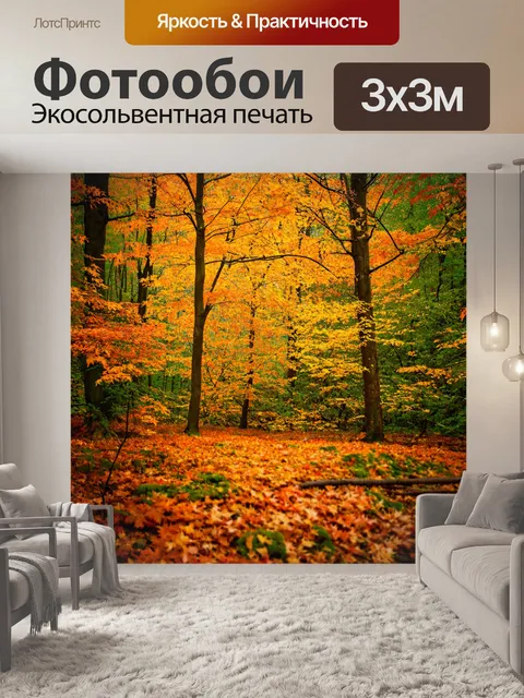 Фотообои лес с осенним пейзажем, разноцветные листья на земле и ветвях