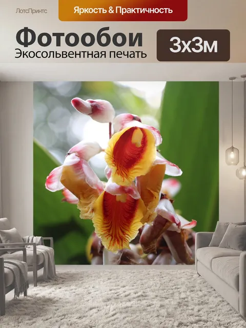 Фотообои Цветок
