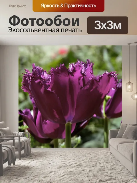 Фотообои Скрученные тюльпаны