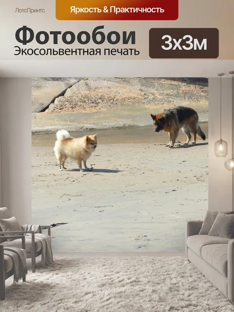 Фотообои Волосатые на пляже 13