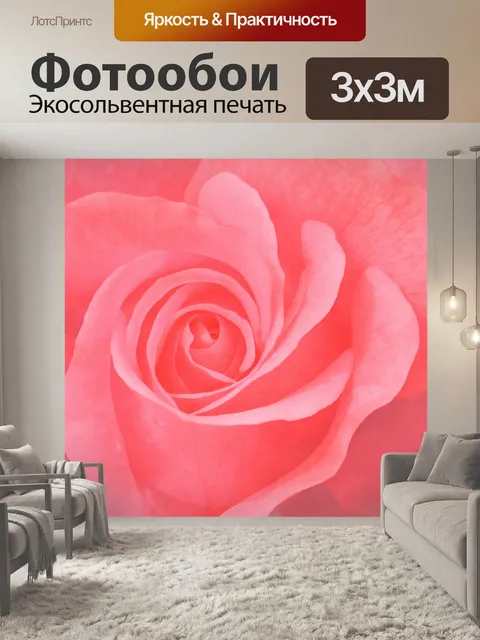 Фотообои Роза цветок цвести апельсин