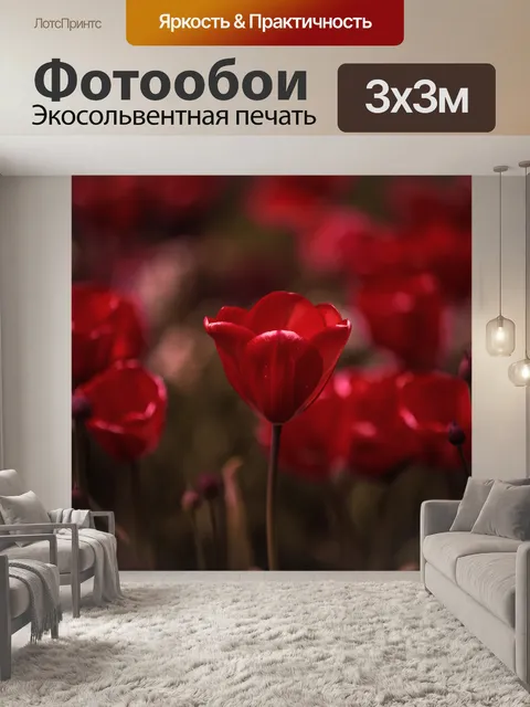 Фотообои Цветы
