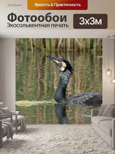 Фотообои Птицы