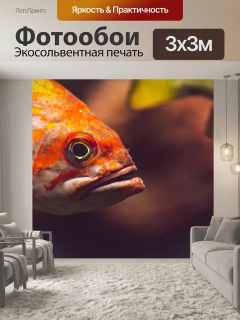 Фотообои Рыбы