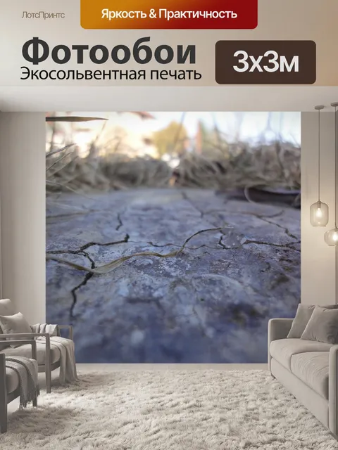 Фотообои Конкретный