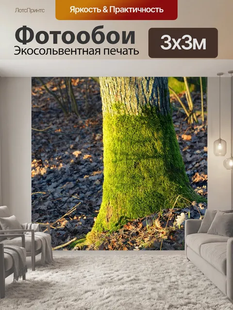 Фотообои Мох