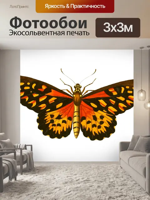 Фотообои Бабочки винтаж искусство старый