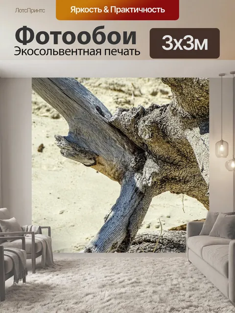 Фотообои Природа