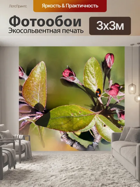 Фотообои Цветок