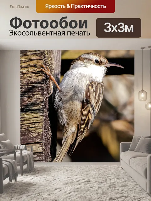 Фотообои Сад дерево бегун