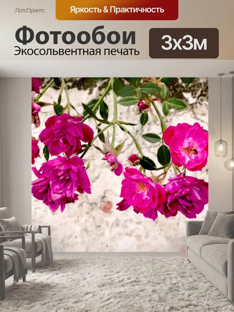 Фотообои Окрашенные розовые лепестки