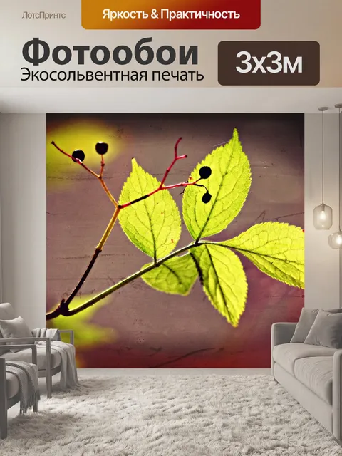 Фотообои Лист