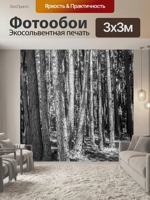 Фотообои Лес