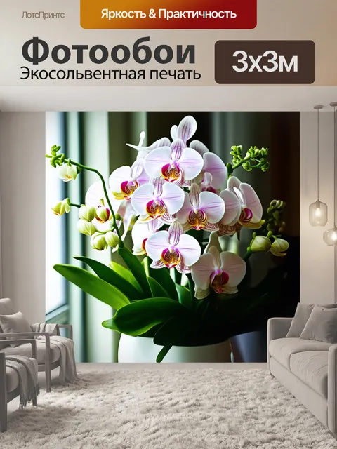 Фотообои фаленопсис, представленная в искусной аранжировке букета, окружённая зелёными листьями и дополненная белыми…