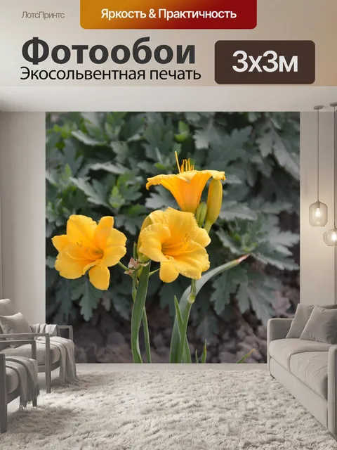 Фотообои Листья