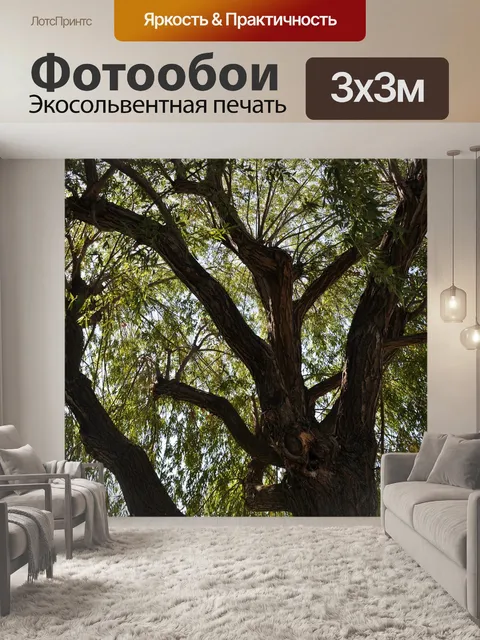 Фотообои Дерево